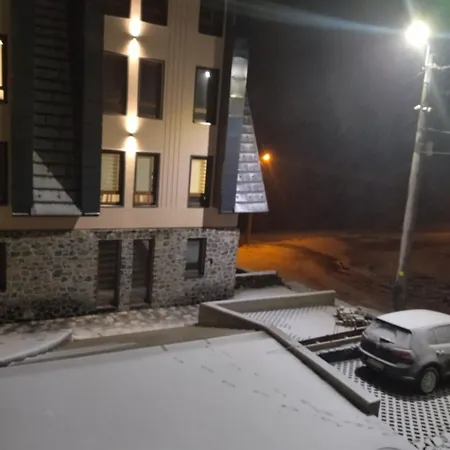 Divcinova1 Reset A2 *