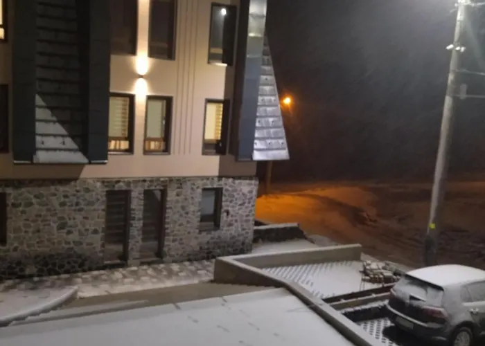 Divcinova1 Reset A2 *