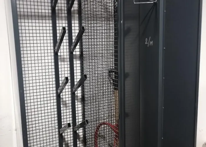 Divcinova1 Reset A2 Divčibare