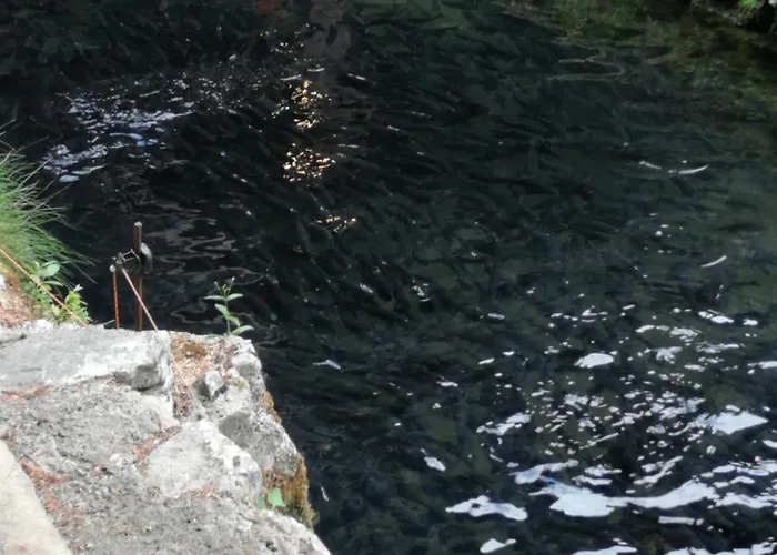 アパート Divcinova1 Reset A2